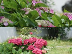 -无锡梅园公园