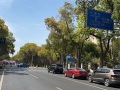 -高东镇樱花园