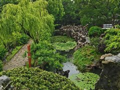 -无锡蠡湖国家湿地公园-蠡园