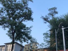 -风车面包