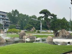 -罗红摄影艺术馆