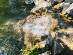 -百脉泉景区