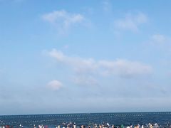 -日照海滨国家森林公园