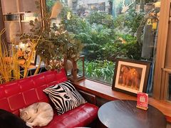 -咖法森林·咖啡  酒吧(天河店)