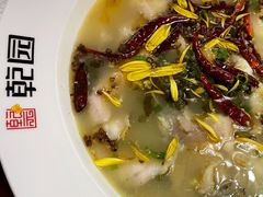 老坛酸菜鱼-乾园(天河城店)