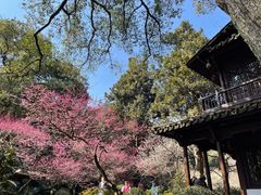 -杭州植物园