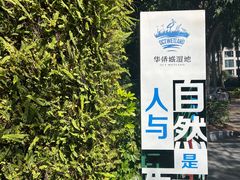 -华侨城湿地公园