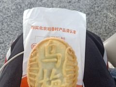 -稻香村(文殊院旗舰店)