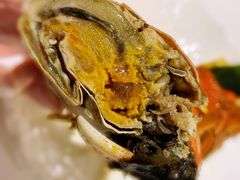 -南麓·浙里(外滩店)
