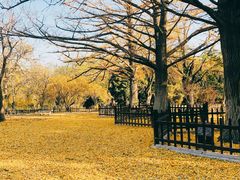 -晋祠公园