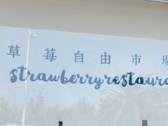 -野草莓自由市场