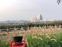 -野狸岛
