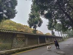 -贵州省植物园