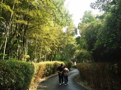 -天目湖涵田度假村