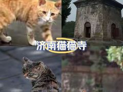-四门塔风景区