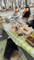 -268童话露营农场·烧烤·团建