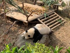 -南宁市动物园