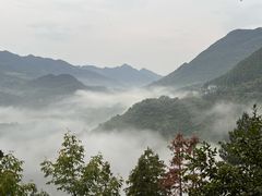 -千岛湖石林