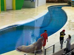 -喷泉广场餐厅·宵夜·海鲜烧烤大排档(长隆企鹅酒店)