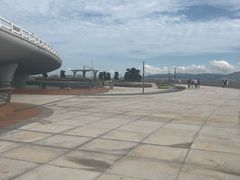 -演武大桥观景平台