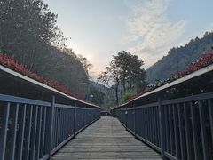 -阿哈湖国家湿地公园