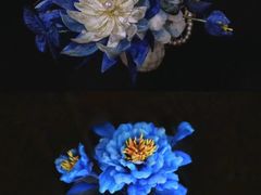 -南京市民俗博物馆(甘熙故居)