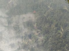 -晓港公园