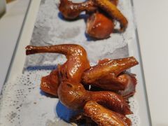 -鸽小宝(深圳首店)