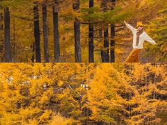 -苏木山森林公园