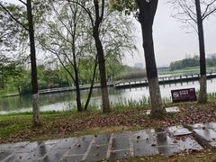-洋湖国家湿地公园