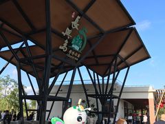 -上海长兴岛郊野公园