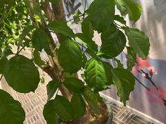 -食之六七·面(朝阳大悦城店)