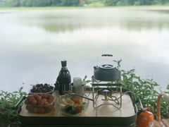 -南宁良凤江国家森林公园