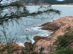 -广东惠东海龟国家级自然保护区