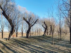 -东郊湿地公园
