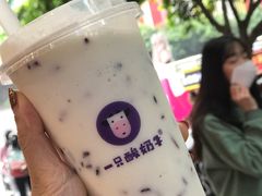 -一只酸奶牛(八一路店)