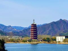 -向外鱼乐·土菜·虹鳟鱼