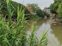 -欢姐伦教糕(北海大道北店)