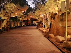 -横店影视城梦幻谷园区