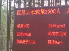 -老舅老蒙肉饼非遗店(一店)