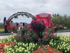 -芒洲湿地公园