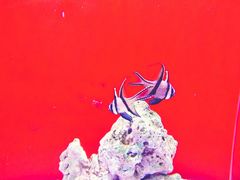 -华夏文旅西安度假区