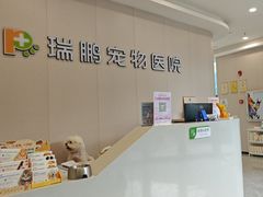 -瑞鹏宠物医院·骨科·猫科·内科(第一中心)
