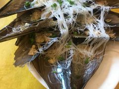 扇贝-鸿达渔港