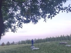 -汉长安城未央宫国家考古遗址公园