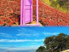 -尧山风景区