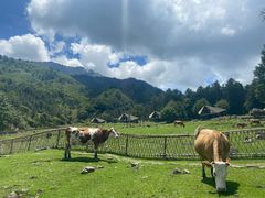 -硗碛藏寨·神木垒景区