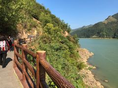 -羚羊峡古栈道森林公园