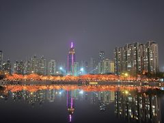 -西北湖绿化广场