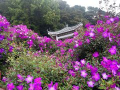-广州市石门国家森林公园